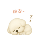 ビションフリーゼスタンプ【繁體字】（個別スタンプ：4）