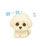ビションフリーゼスタンプ【繁體字】（個別スタンプ：12）
