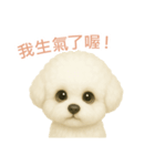 ビションフリーゼスタンプ【繁體字】（個別スタンプ：13）