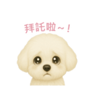 ビションフリーゼスタンプ【繁體字】（個別スタンプ：14）