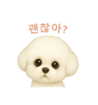 ビションフリーゼスタンプ【韓国語】（個別スタンプ：1）