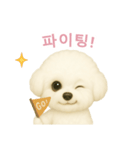 ビションフリーゼスタンプ【韓国語】（個別スタンプ：5）