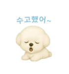 ビションフリーゼスタンプ【韓国語】（個別スタンプ：6）