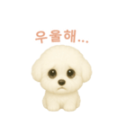 ビションフリーゼスタンプ【韓国語】（個別スタンプ：7）