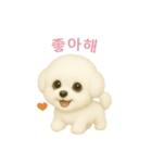 ビションフリーゼスタンプ【韓国語】（個別スタンプ：8）