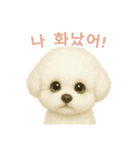 ビションフリーゼスタンプ【韓国語】（個別スタンプ：13）