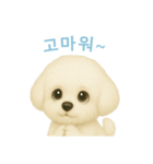 ビションフリーゼスタンプ【韓国語】（個別スタンプ：15）