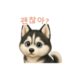 シベリアンハスキースタンプ【韓国語】（個別スタンプ：1）