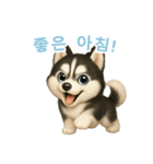シベリアンハスキースタンプ【韓国語】（個別スタンプ：3）