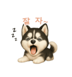シベリアンハスキースタンプ【韓国語】（個別スタンプ：4）