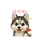 シベリアンハスキースタンプ【韓国語】（個別スタンプ：5）