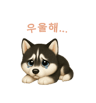 シベリアンハスキースタンプ【韓国語】（個別スタンプ：7）