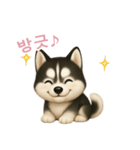シベリアンハスキースタンプ【韓国語】（個別スタンプ：11）