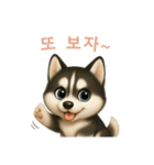 シベリアンハスキースタンプ【韓国語】（個別スタンプ：16）