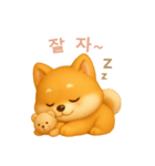 柴犬の日常スタンプ【韓国語】（個別スタンプ：4）