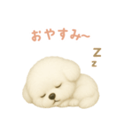 ビションフリーゼスタンプ【日本語】（個別スタンプ：4）