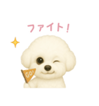 ビションフリーゼスタンプ【日本語】（個別スタンプ：5）