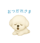 ビションフリーゼスタンプ【日本語】（個別スタンプ：6）