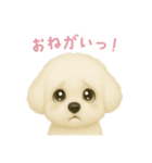 ビションフリーゼスタンプ【日本語】（個別スタンプ：14）