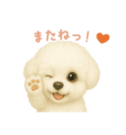 ビションフリーゼスタンプ【日本語】（個別スタンプ：16）
