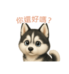 シベリアンハスキースタンプ【繁體字】（個別スタンプ：1）