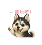シベリアンハスキースタンプ【繁體字】（個別スタンプ：2）