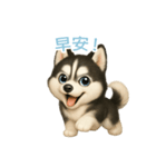 シベリアンハスキースタンプ【繁體字】（個別スタンプ：3）