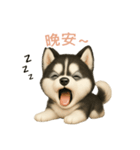 シベリアンハスキースタンプ【繁體字】（個別スタンプ：4）