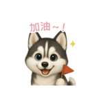 シベリアンハスキースタンプ【繁體字】（個別スタンプ：5）