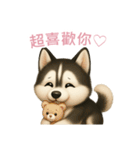 シベリアンハスキースタンプ【繁體字】（個別スタンプ：8）