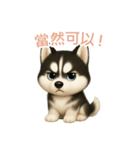 シベリアンハスキースタンプ【繁體字】（個別スタンプ：10）