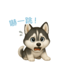 シベリアンハスキースタンプ【繁體字】（個別スタンプ：12）
