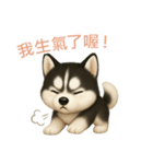シベリアンハスキースタンプ【繁體字】（個別スタンプ：13）