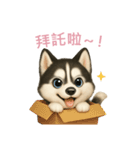シベリアンハスキースタンプ【繁體字】（個別スタンプ：14）