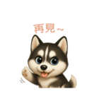 シベリアンハスキースタンプ【繁體字】（個別スタンプ：16）