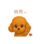 トイプードルスタンプ【繁體字】（個別スタンプ：16）