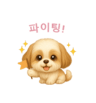 シーズースタンプ【韓国語】（個別スタンプ：5）