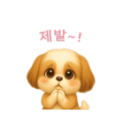 シーズースタンプ【韓国語】（個別スタンプ：14）