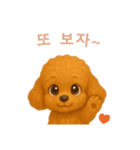 トイプードルスタンプ【韓国語】（個別スタンプ：16）