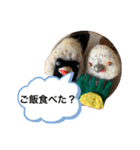 貝獣さん5   おにぎり貝獣とその仲間（個別スタンプ：1）