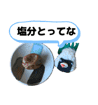 貝獣さん5   おにぎり貝獣とその仲間（個別スタンプ：2）