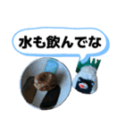 貝獣さん5   おにぎり貝獣とその仲間（個別スタンプ：3）