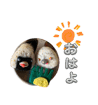 貝獣さん5   おにぎり貝獣とその仲間（個別スタンプ：8）