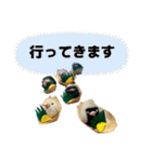 貝獣さん5   おにぎり貝獣とその仲間（個別スタンプ：9）