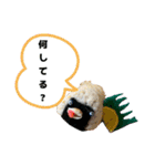 貝獣さん5   おにぎり貝獣とその仲間（個別スタンプ：13）