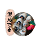 貝獣さん5   おにぎり貝獣とその仲間（個別スタンプ：17）