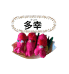貝獣さん5   おにぎり貝獣とその仲間（個別スタンプ：27）