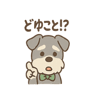 まぬけ顔シュナのゆる敬語スタンプ（個別スタンプ：11）
