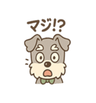 まぬけ顔シュナのゆる敬語スタンプ（個別スタンプ：12）