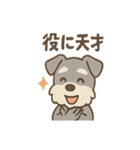 まぬけ顔シュナのゆる敬語スタンプ（個別スタンプ：17）